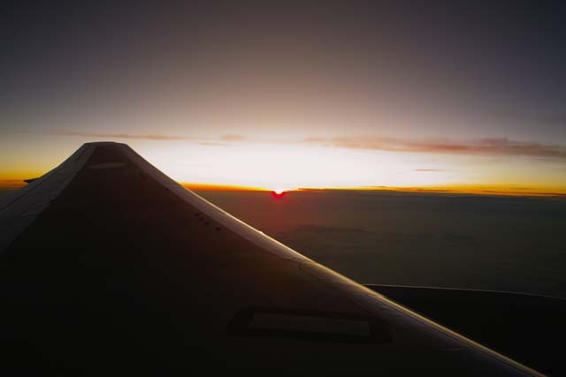 SDI21032.jpg