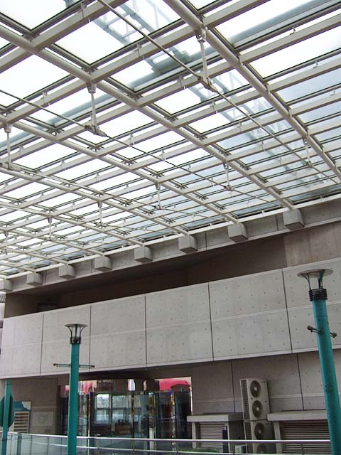 DSCF1513.jpg