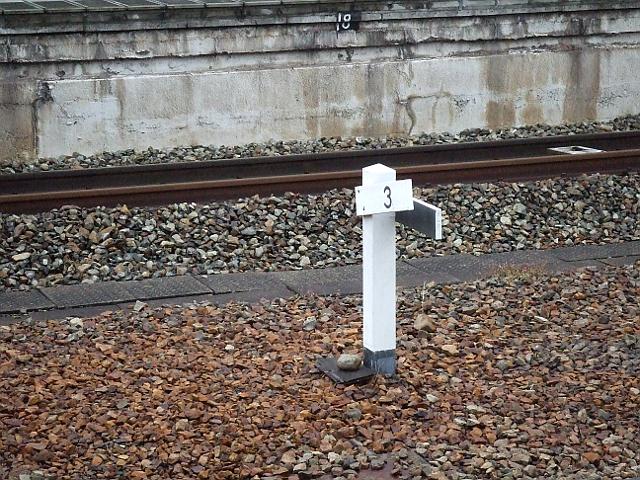 DSCF6040.JPG
