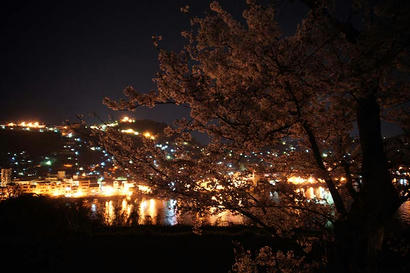 DSC09257.jpg