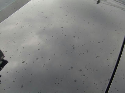 DSCF7733.JPG