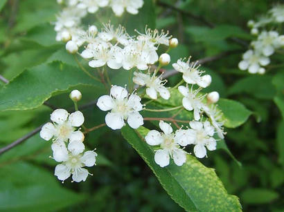 DSCF7837.jpg