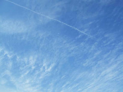 DSCF7842.jpg