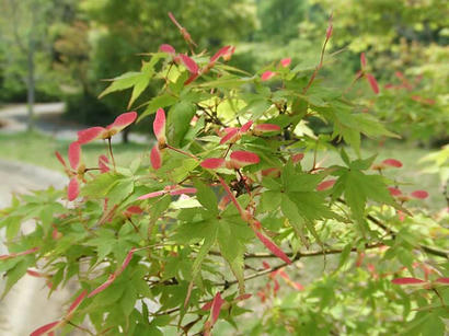 DSCF7902.jpg