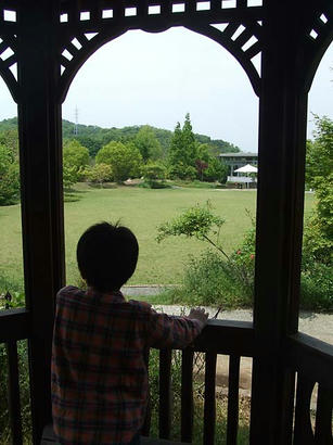 DSCF7904.jpg