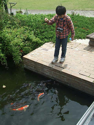 DSCF7910.jpg