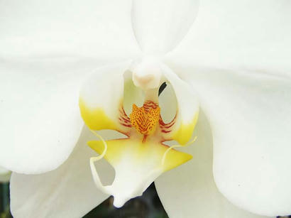 DSCF7925.jpg