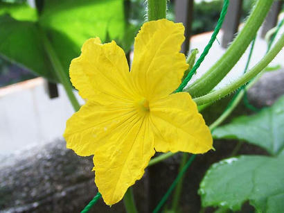 DSCF8269.jpg