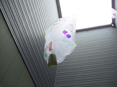 DSCF8346.jpg