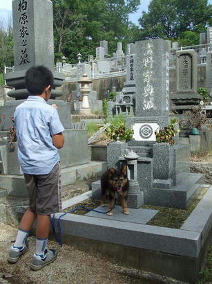DSCF8472.jpg
