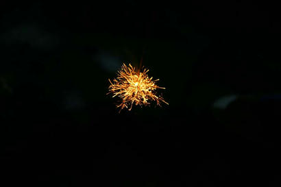 IMG_2869.jpg
