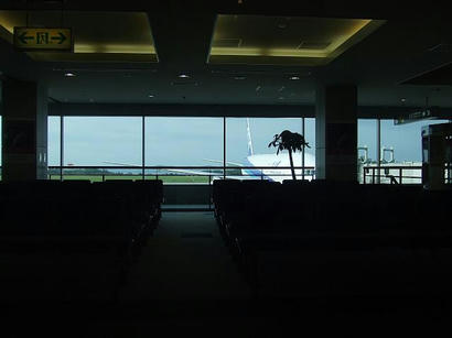 DSCF8792.JPG