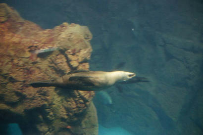 DSC07464.jpg