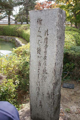 DSC07367.jpg