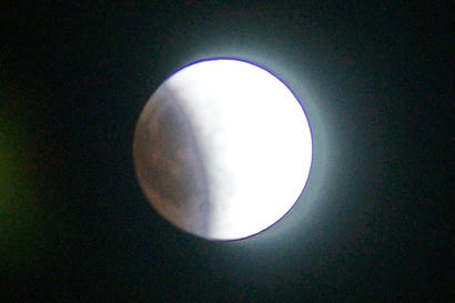 DSC02484-3.jpg