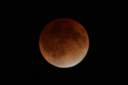 DSC02604-2.jpg
