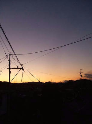 DSCF9536.jpg