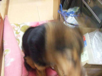 DSCF9730.jpg