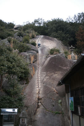 DSC04203.jpg