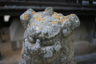 DSC04211.jpg