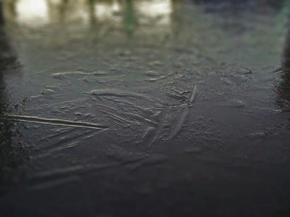 120208001.jpg