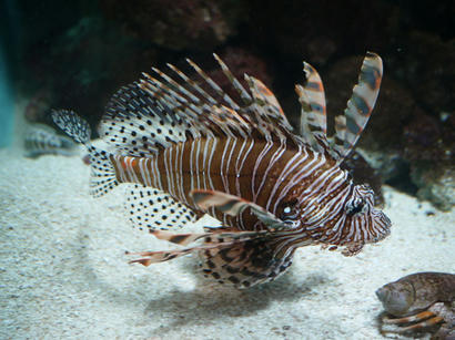 P1000457.jpg