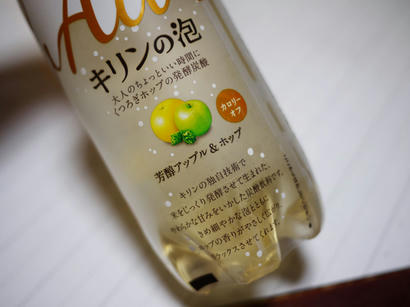 P1000830.jpg