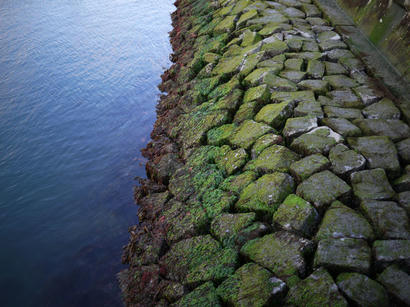 P1010044.jpg