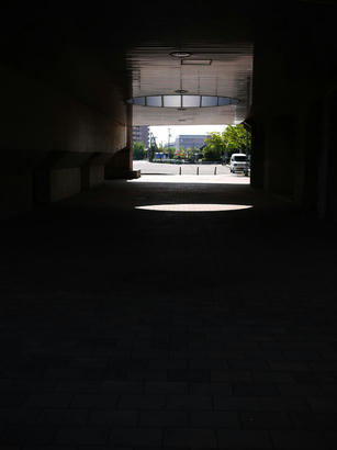 P1010456.jpg