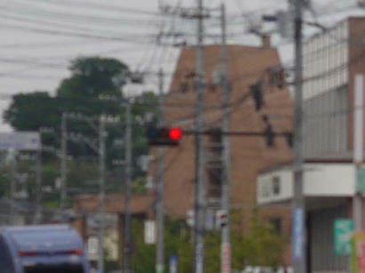 P1020299-2.jpg