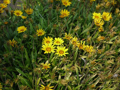 P1020636.jpg