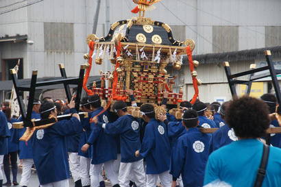 DSC07334.jpg