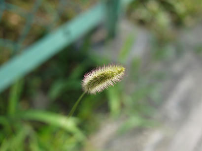 P1030853.jpg