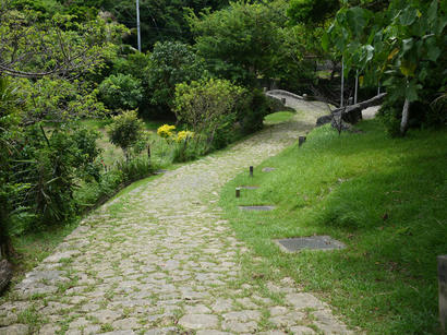 P1040553.jpg