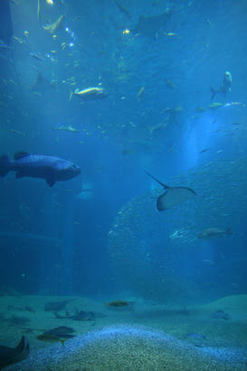IMG_0733.jpg