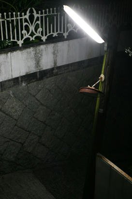 IMG_1335.jpg