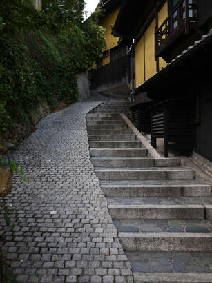 P1060555.jpg