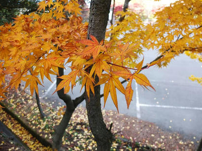 DSCF0656.jpg