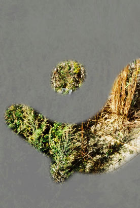 CNV000034-02.jpg