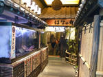 P1000638-1.jpg