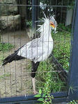 NEC_0090.JPG