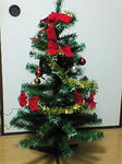 NEC_0098.jpg