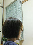 NEC_0102.jpg
