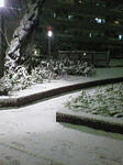 NEC_0118.JPG