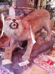 DVC00033.JPG