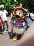 DVC00067.JPG