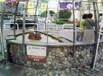 DVC00121.JPG