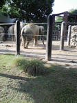DVC00127.JPG