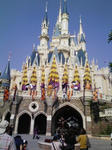 DVC00137.JPG