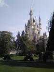 DVC00145.JPG